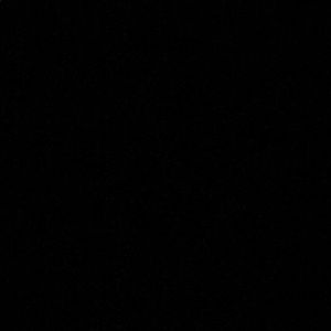 Meet your Posher, Angus